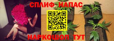 PSILOCYBIN Берёзовский