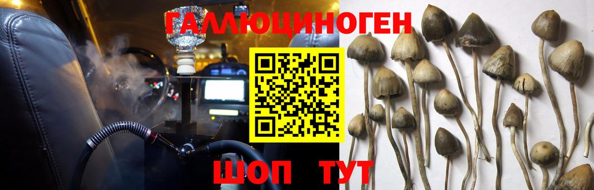 Псилоцибиновые грибы Magic Shrooms Карачаевск