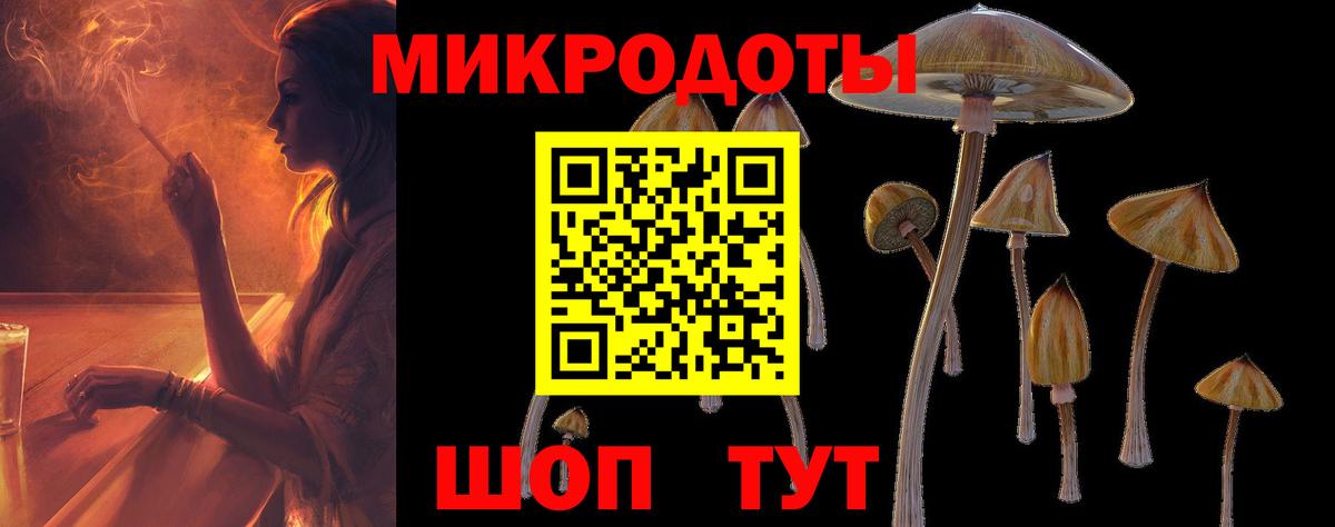 Карачаевск  Псилоцибиновые грибы Cubensis  Вход с VPN  Псилоцибиновые грибы Cubensis 